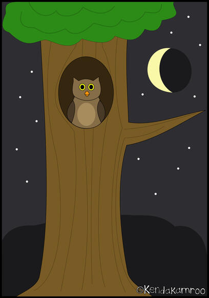 Owl Tree