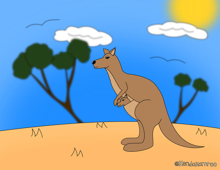 kangaroo
